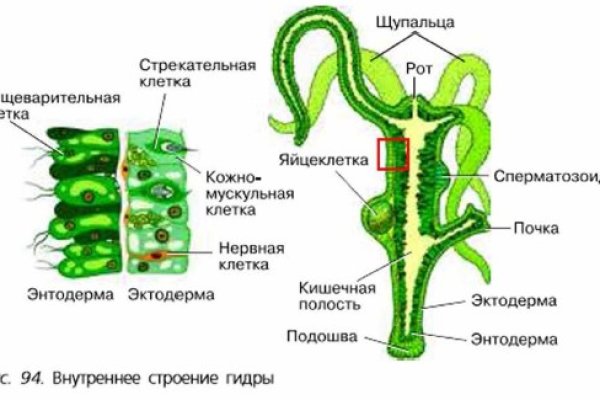 Kraken darknet market ссылка