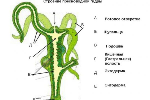 Омг ссылка на сайт