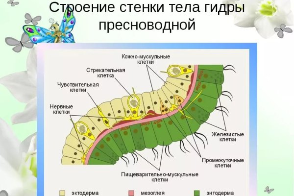 Мега оф сайт ссылка