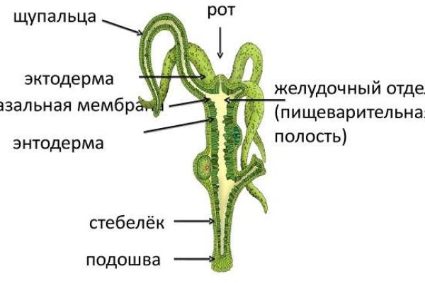 Ссылка на тор браузер mega