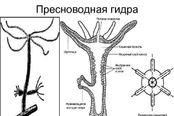 Почему не работает сайт мега сегодня