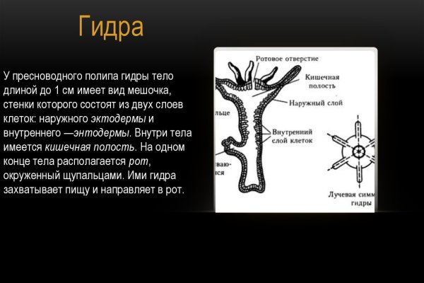 Как загрузить фото в диспут тор кракен