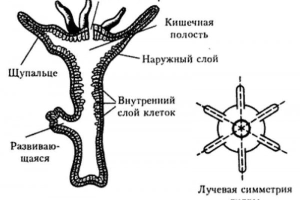 Кракен маркетплейс ссылка